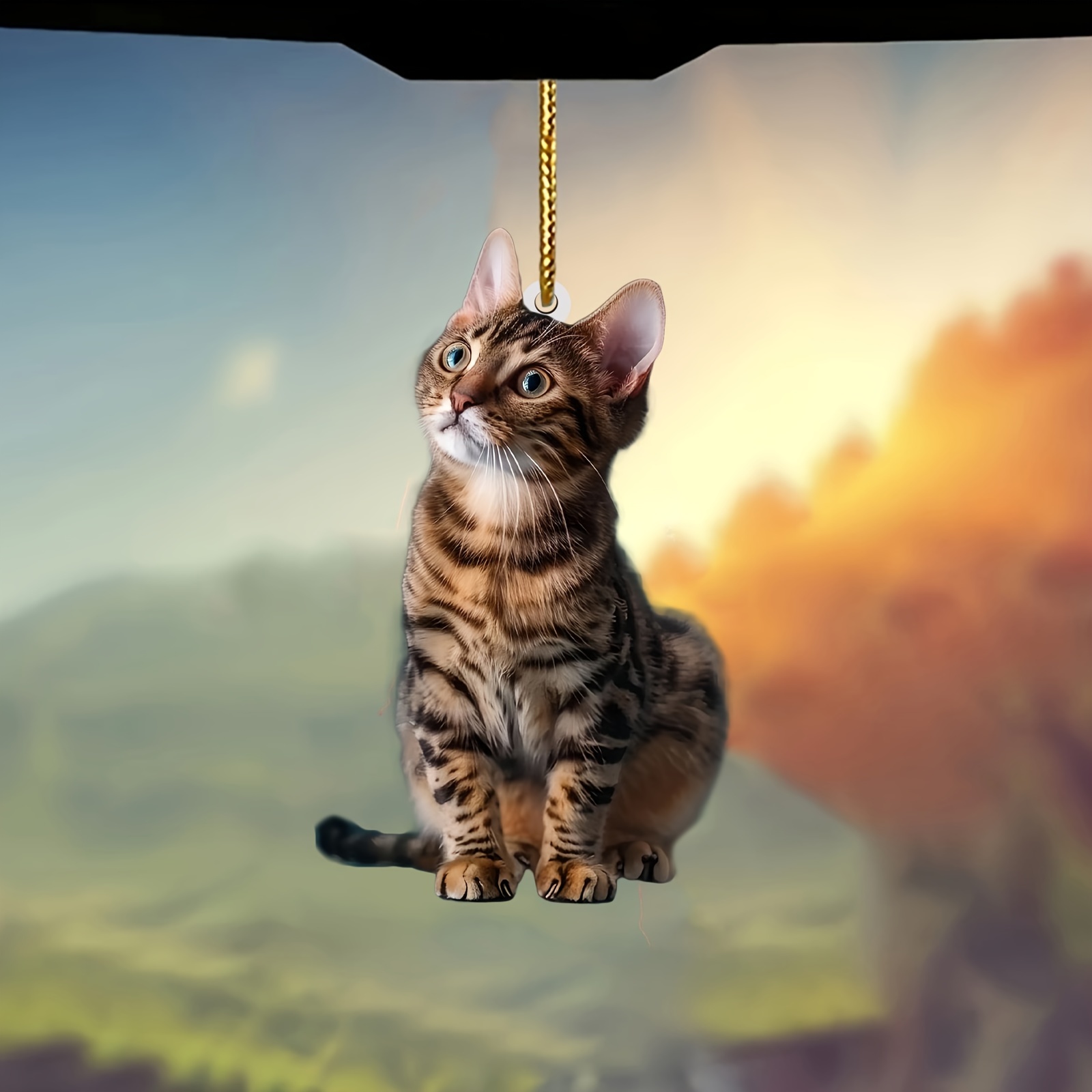 3 Buah Liontin Akrilik Kucing  - Car Accessories Oman ulasan dan harga